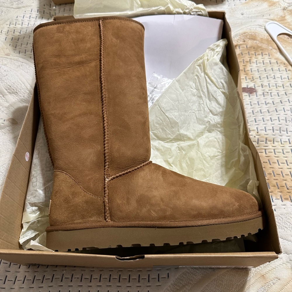 Brand New, never worn size 11 tall Ugg boots